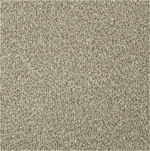 Apollo Elite Pretzel